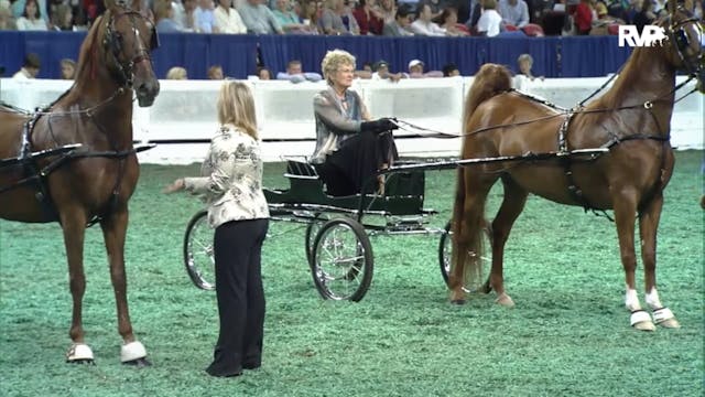 2012 WCHS - Class 50 Amateur Ladies F...