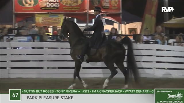 2016 RC - Class 67 Park Pleasure Stake 