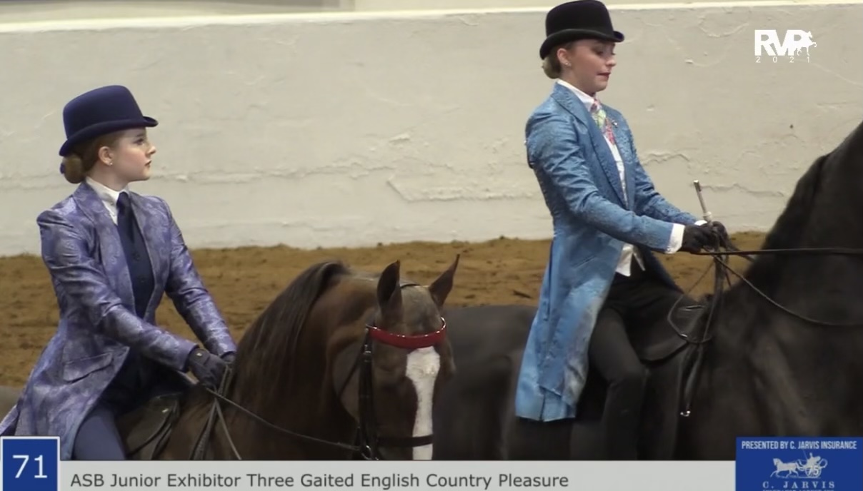 BB21 - Class 71 - ASB English Country Pleasure Junior Exhibitor