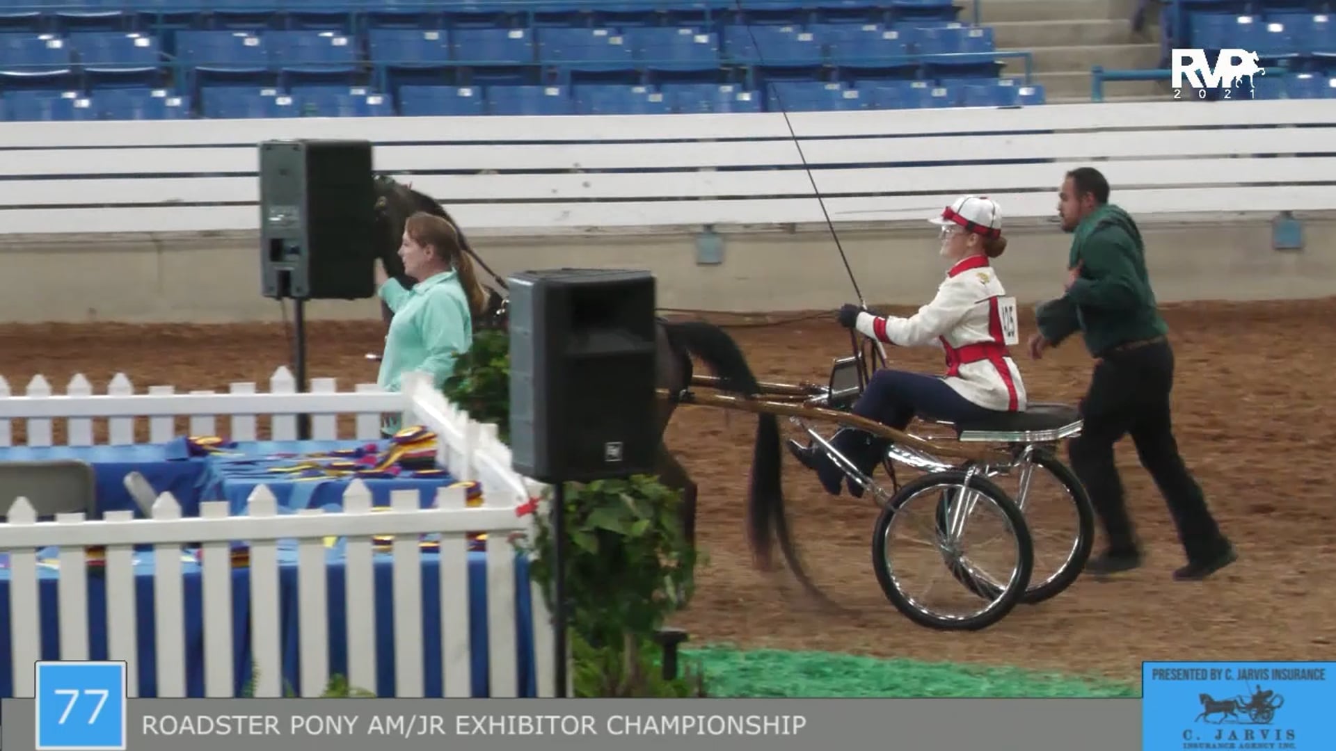 SSSF21 - Class 77 - Roadster Pony AMA Junior Exhibitor Championship