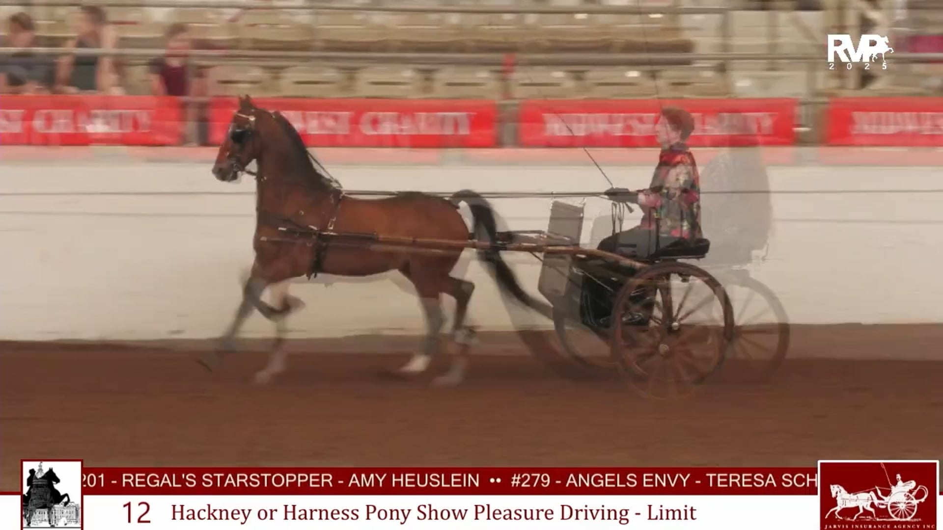 MW25 - Class 12 - Hackney-Harness Pony Show Pleasure Driving Limit