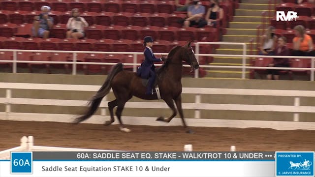 2020 ASF - Class 60A Saddle Seat Equi...