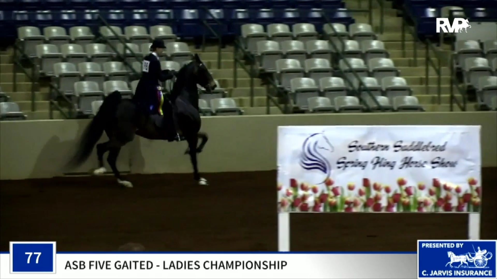 2019 Southern Saddlebred Spring Fling - Saturday Morning