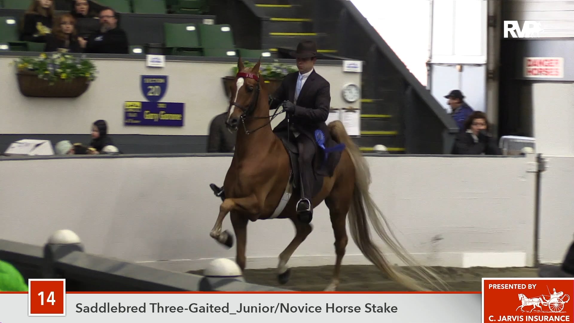 UPHA14-18 Class 14 Tango For Fun