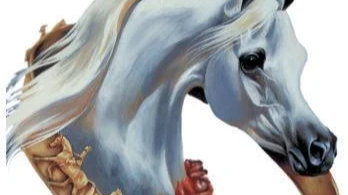 Youth Arabian Nationals