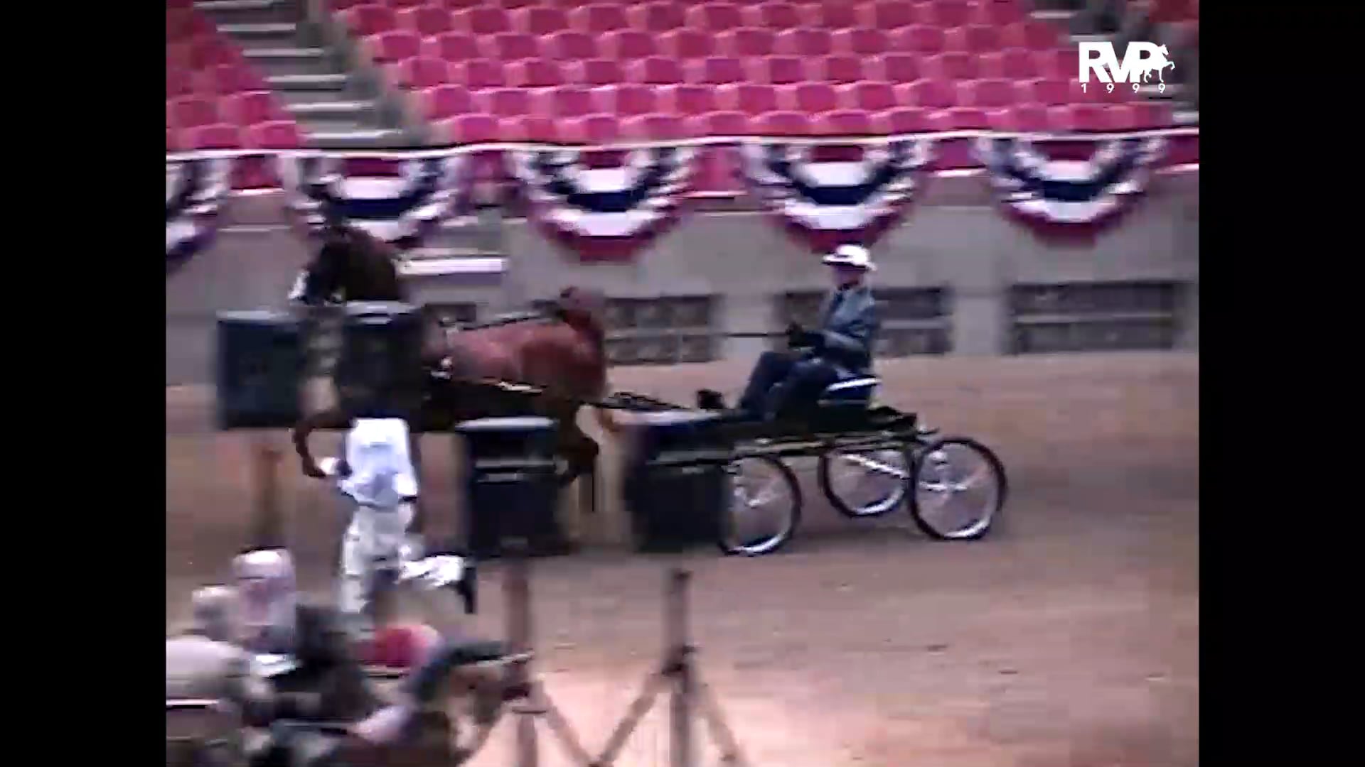 1999 Wisconsin Futurity - UPHA Fine Harness Classic - Colin Powell and Rick Wallen, whip 