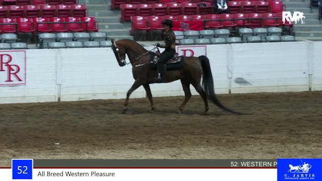 RR22 - Class 52 - All Breed Western P...