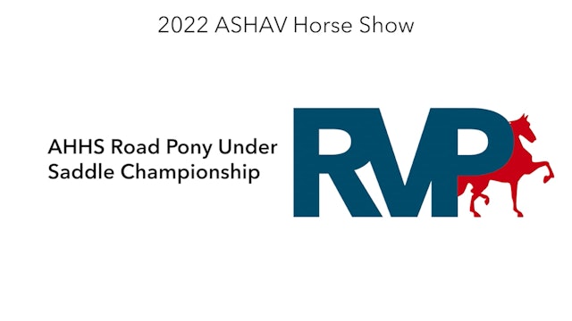 ASHAV22 - Class 104 - AHHS Road Pony Under Saddle Championship