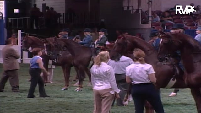 2003 WCHS Class 120 Equitation Open W...