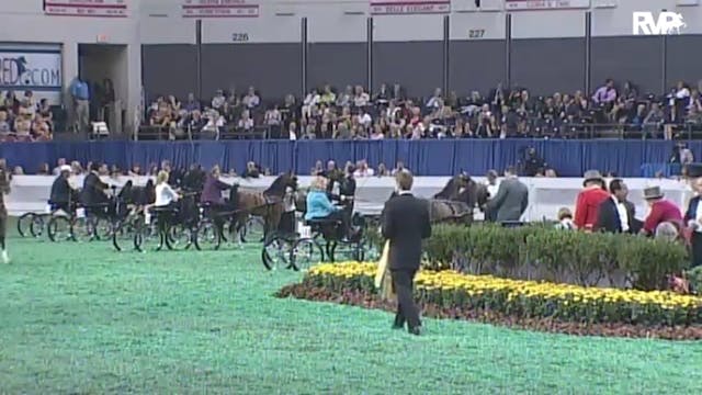 2010 World's Championship Horse Show ...