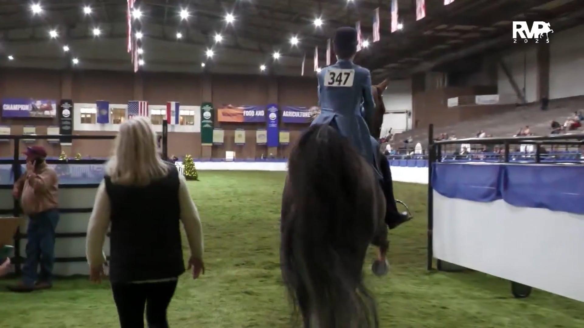 KC25 - Class 51 - Amateur Three Gaited Over 15.2