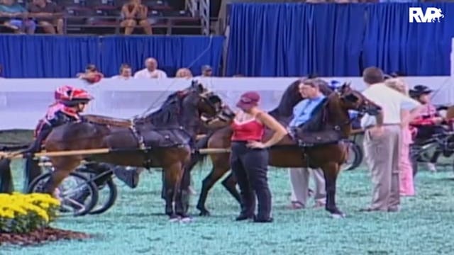 2009 World's Championship Horse Show ...