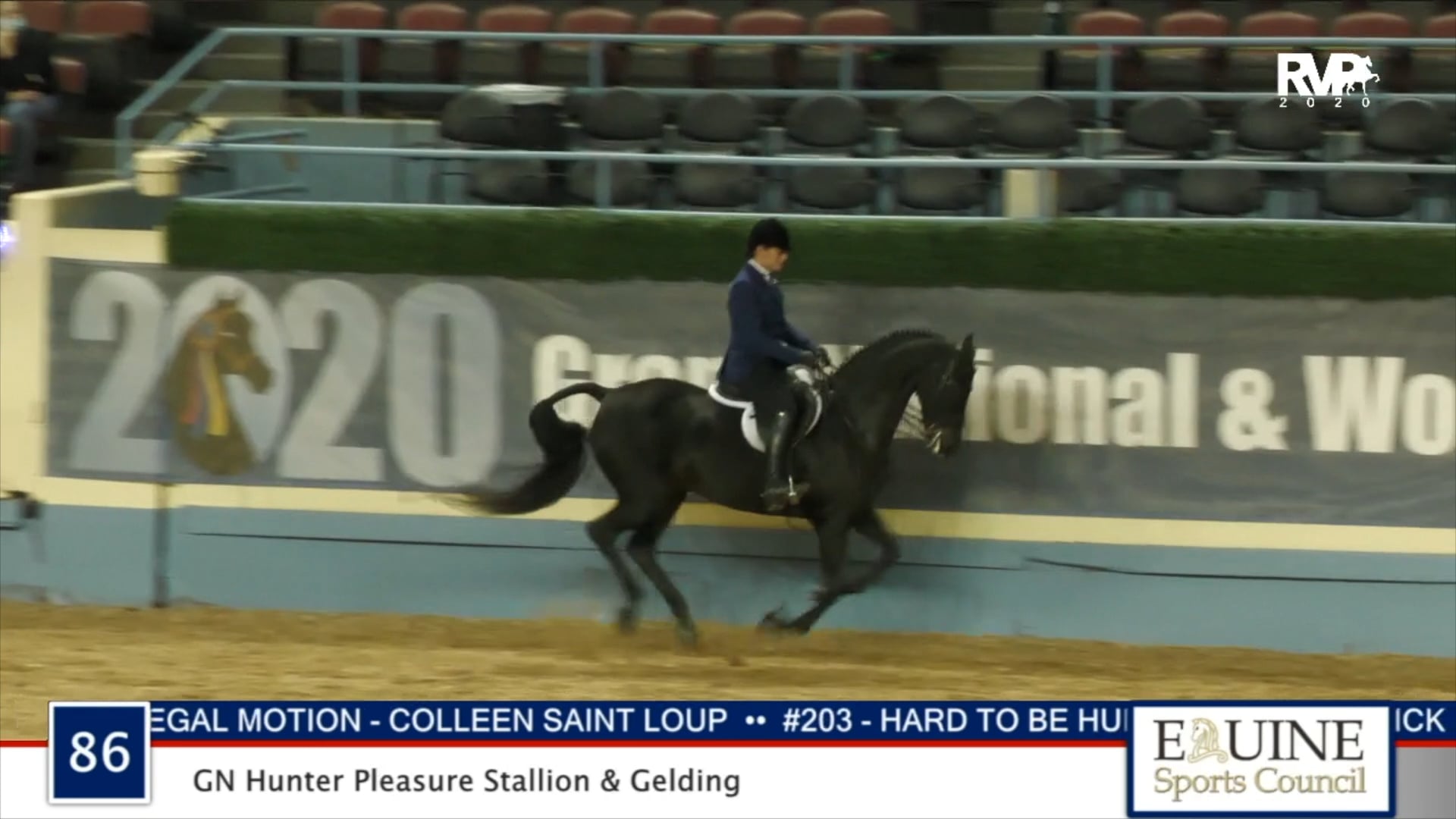 2020 MGN - Class 86 GN Hunter Pleasure Stallion & Gelding
