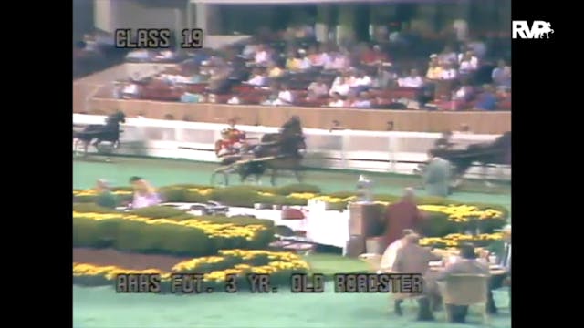 1989 WCHS Class 19 AHHS Futurity - Th...