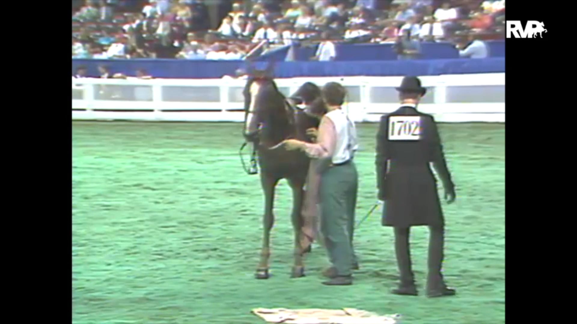 1993 WCHS Class 150 Amateur Three Gaited 
Championship