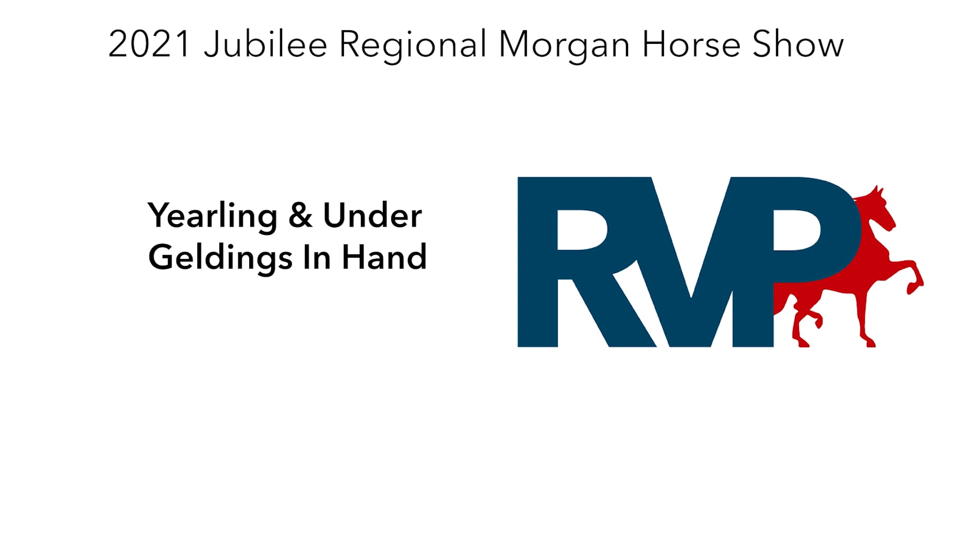 MJ21 - Class 10 - Yearling & Under Geldings In Hand
