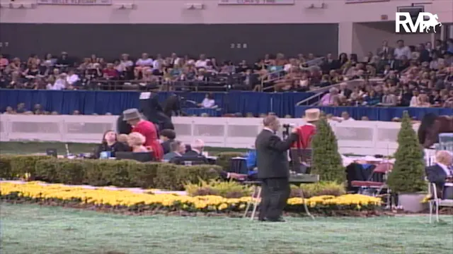 2003 WCHS Class 229 Three Gaited Cham...