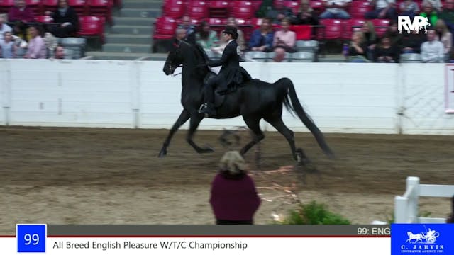 RR22 - Class 99 -  All Breed English ...