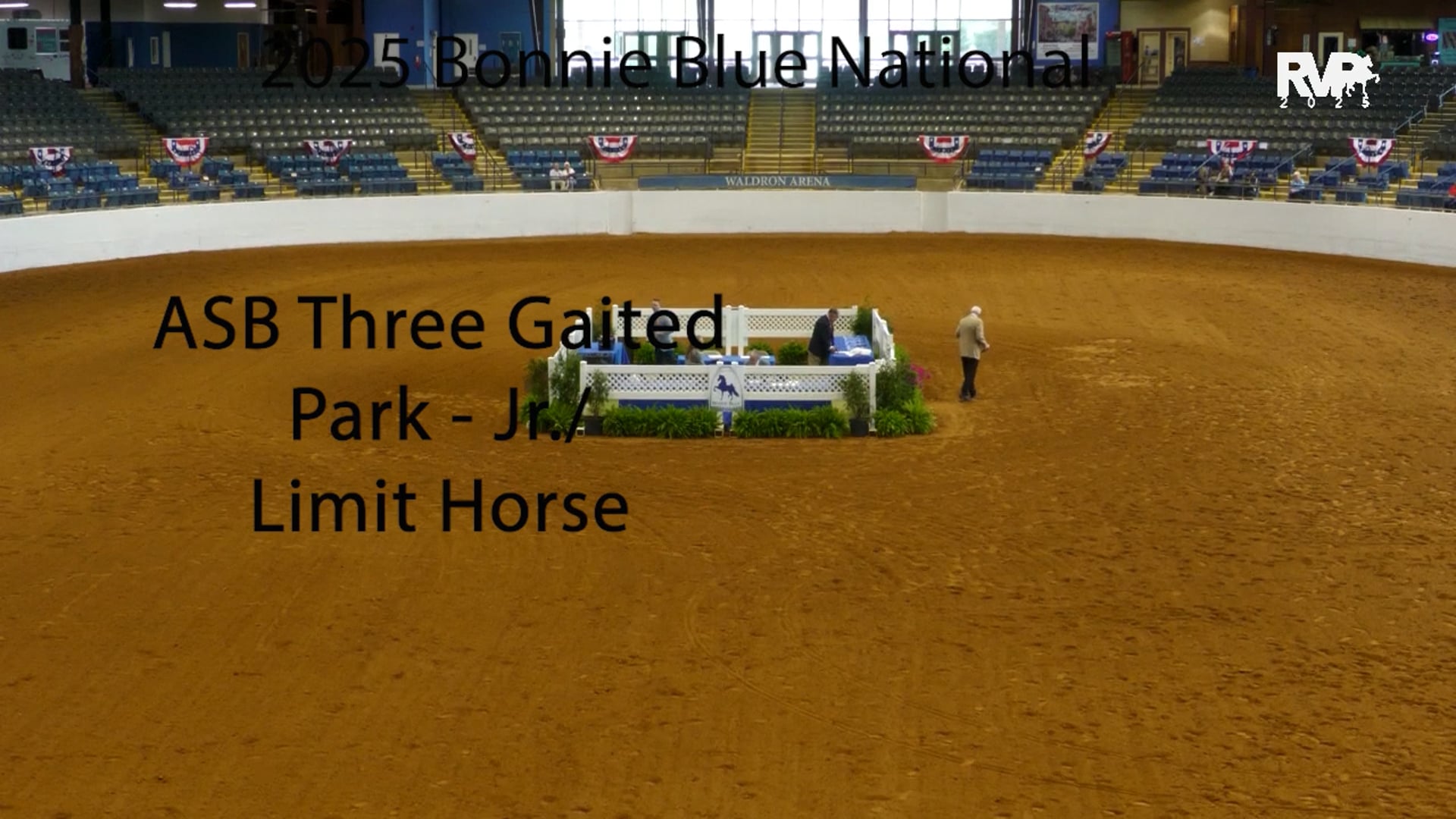 BB25 - Class 26 - ASB Three Gaited Park - Jr. Limit Horse