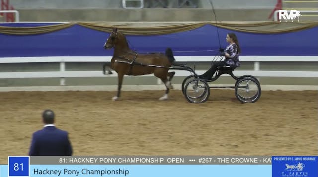 2021 Asheville Saddlebred Classic - F...