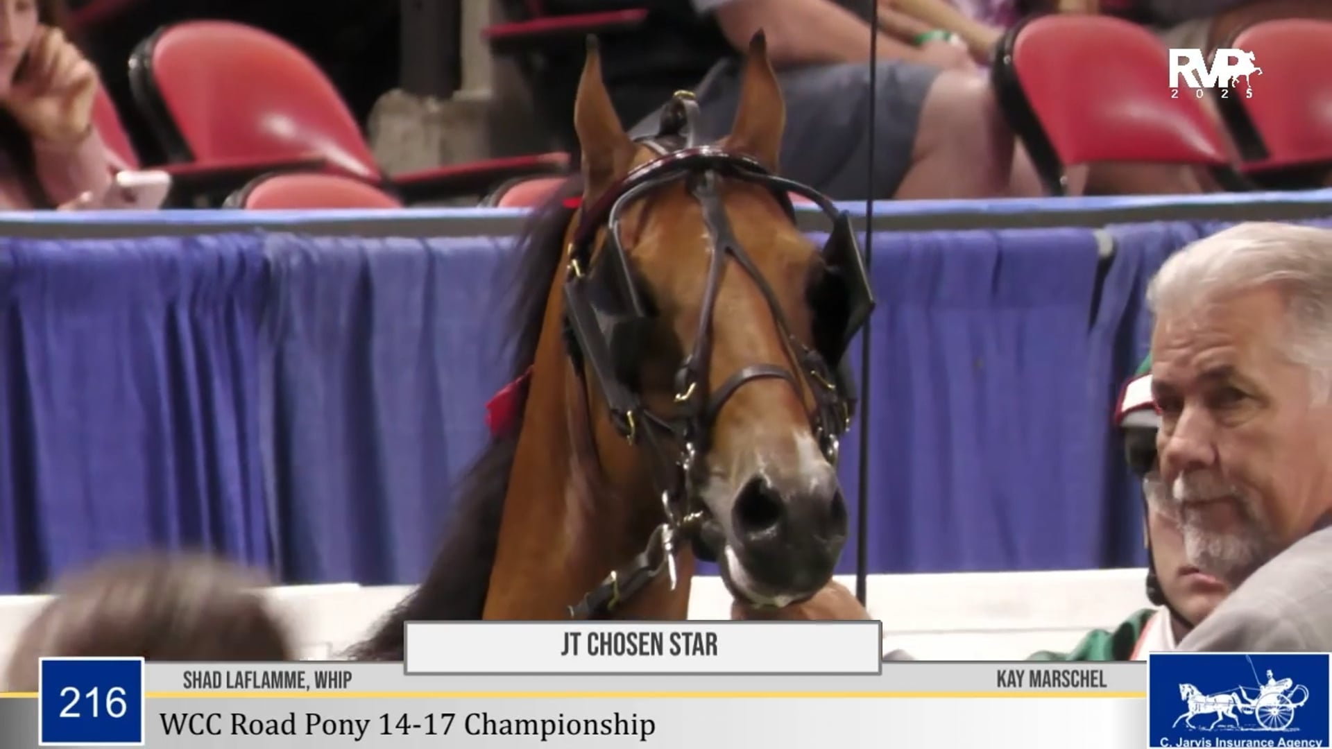 WCHS25 - Class 216 - JT Chosen Star and Shad LaFlamme, Whip