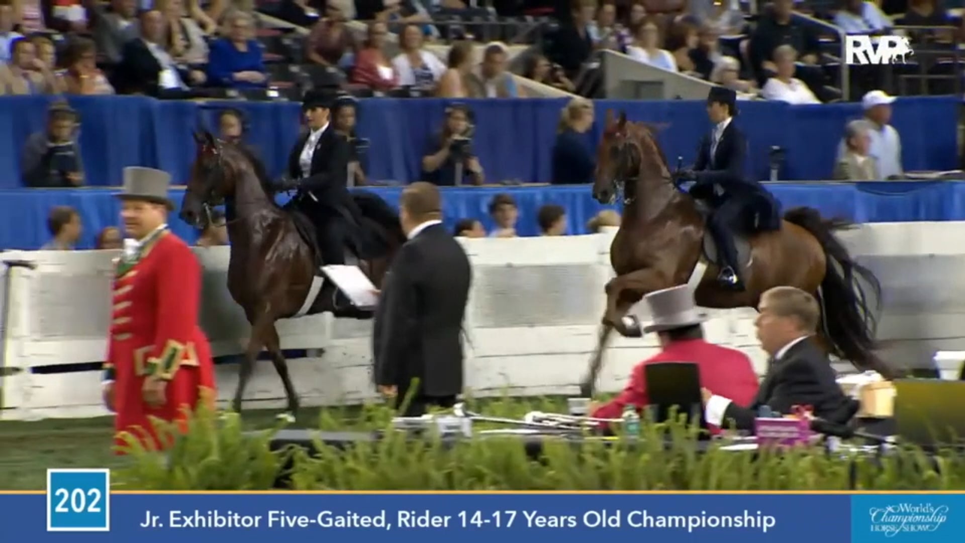 2015 WCHS - Class 202 Junior Exhibitor Five Gaited
Rider 14-17 Championship