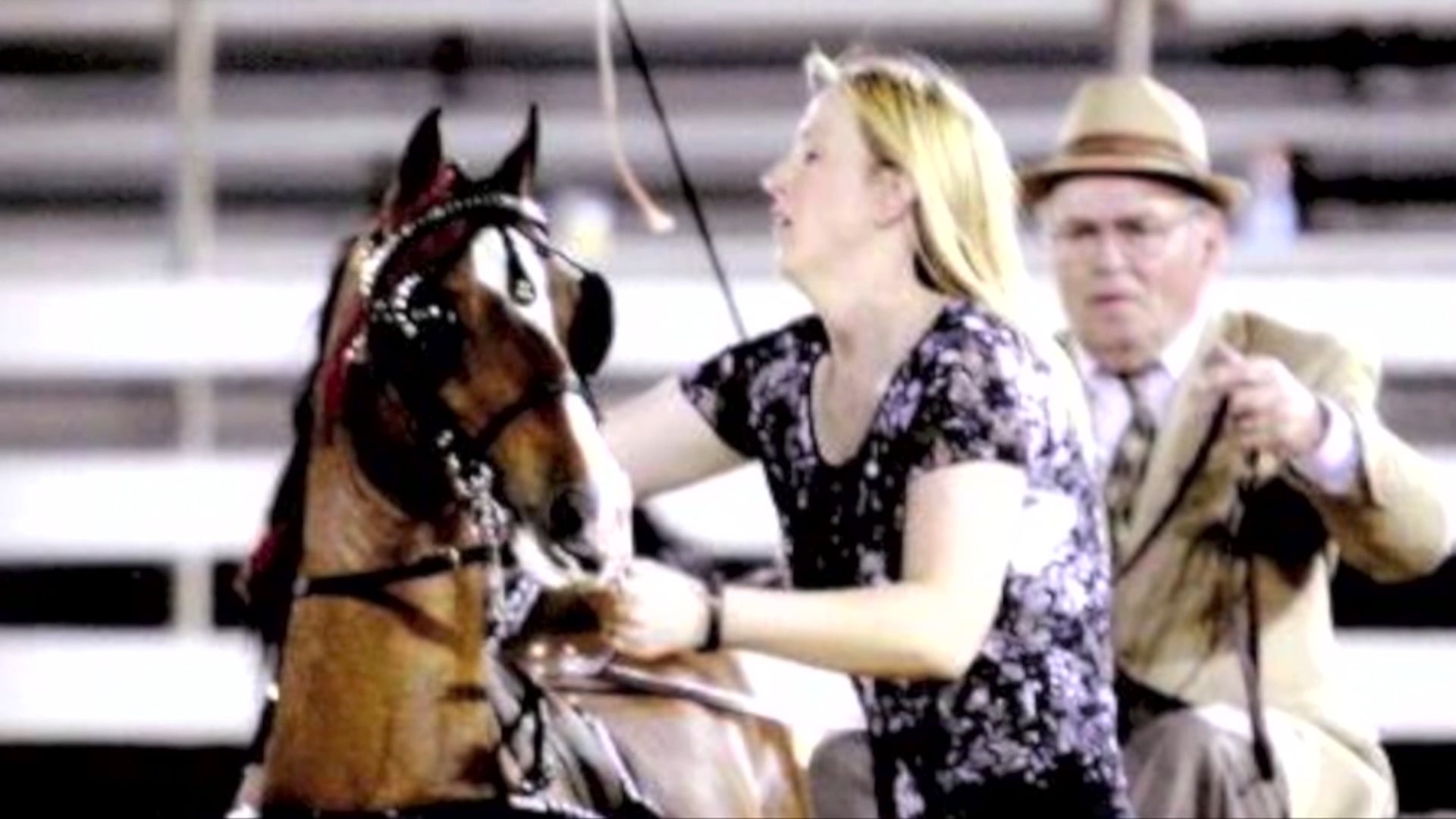 2016 Mindy Preston -Lydia Luhman Pederson National Distinguished Service Award