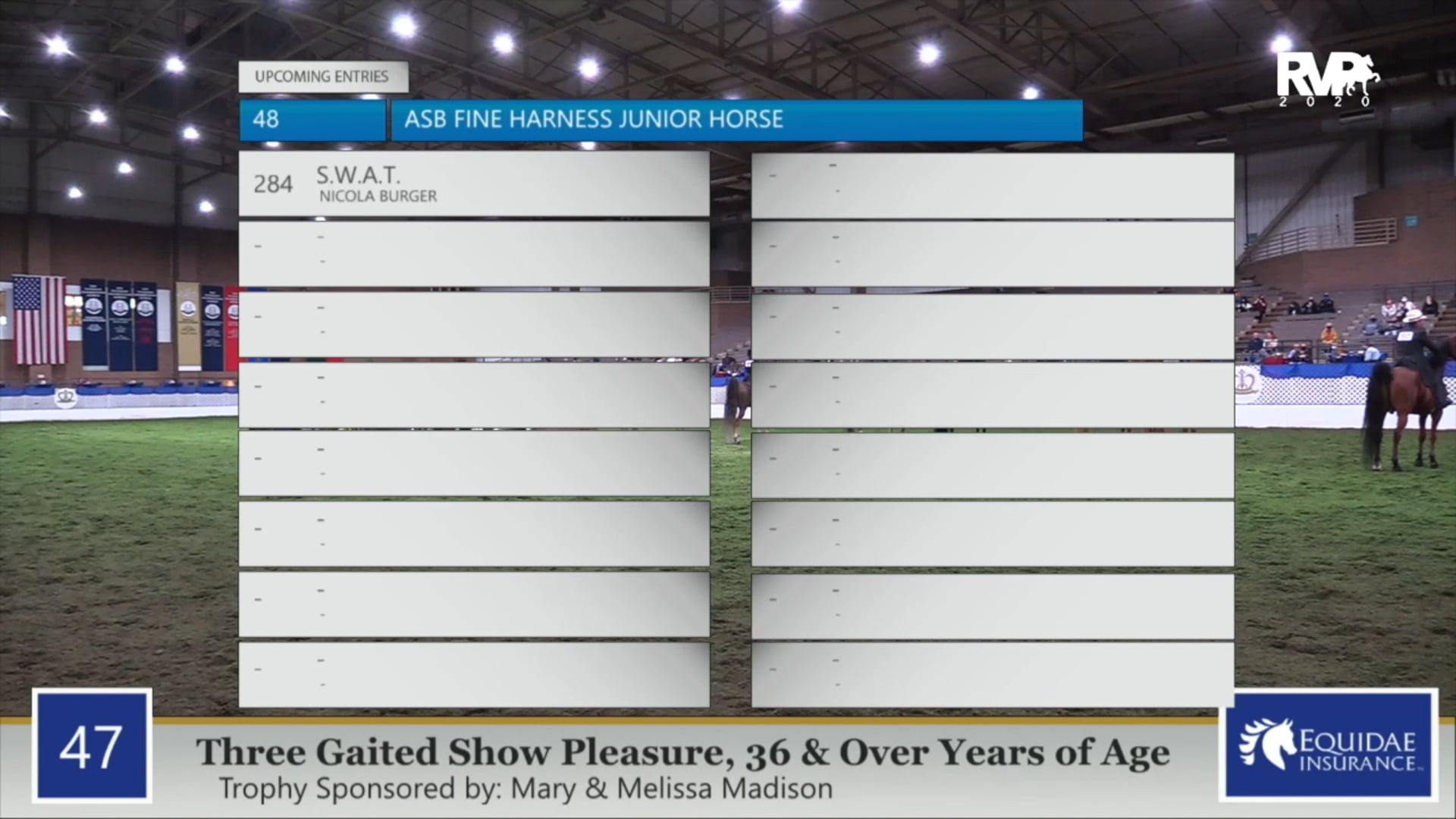 2020 AR - Class 47 Three Gaited Show Pleasure
Rider 36 & Over