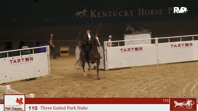 KFC24 - Class 110 - Three Gaited Park...