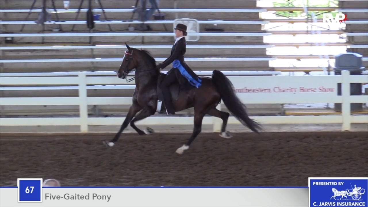 SEC18 - Class 67 - Camelot's Riding Out The Storm