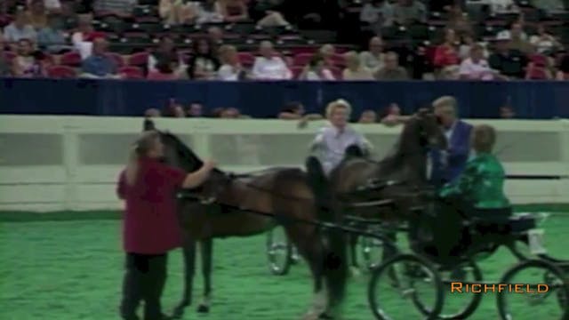 2001 WCHS - Class 15 - Harness Pony M...