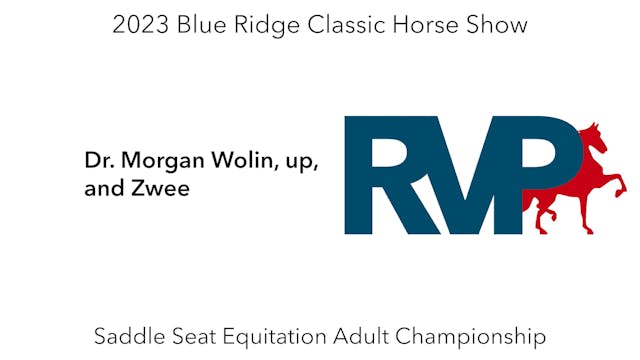 BR23 - Class 204 - Dr. Morgan Wolin, ...