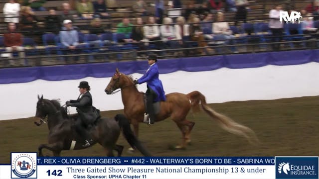 AR24 - Class 142 - Three Gaited Show ...