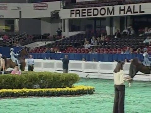 2008 WCHS Class 112 8 & Under Walk Trot
