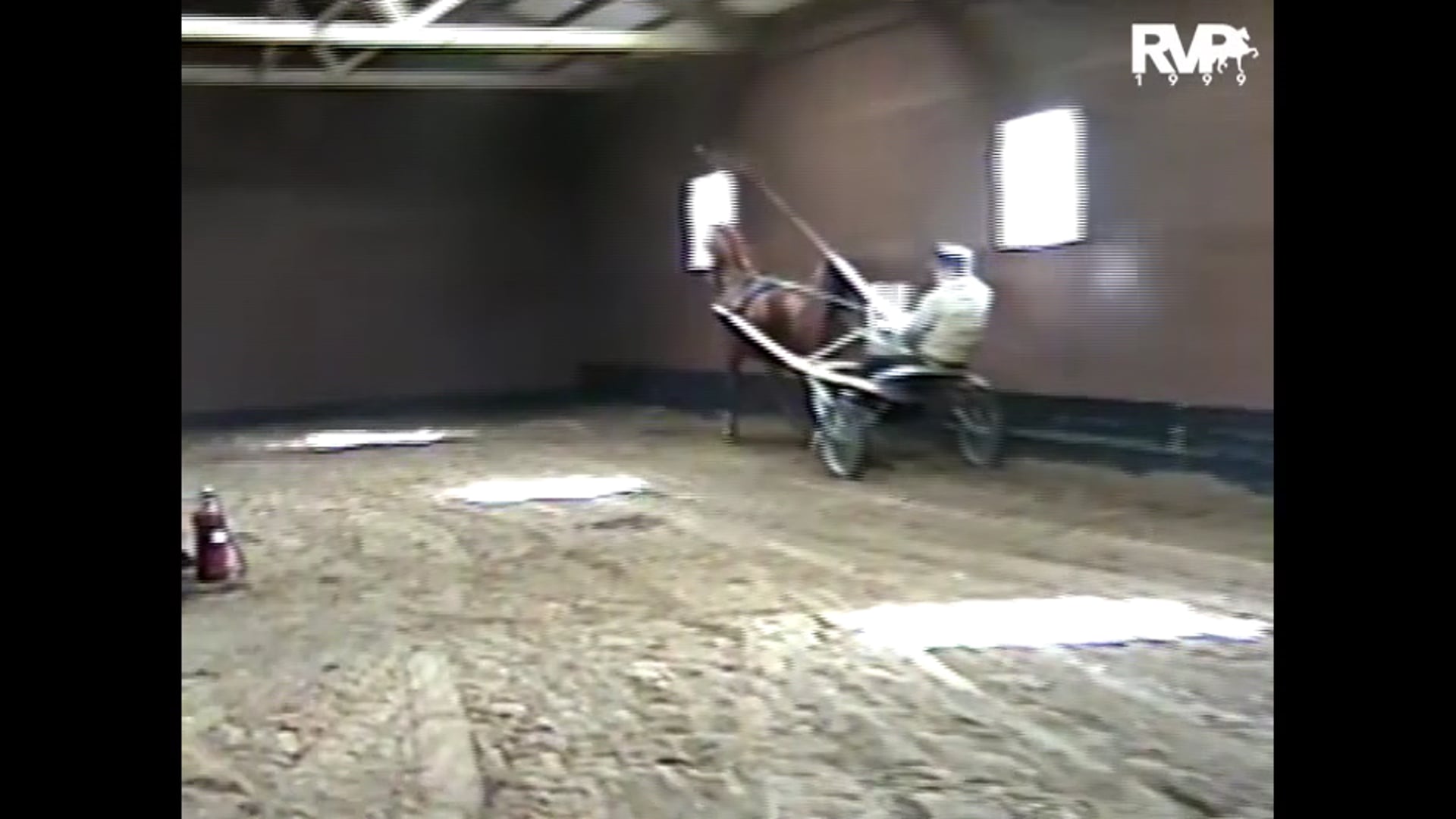 Peter Palmer working horses at Meadowlake Farm in 1999