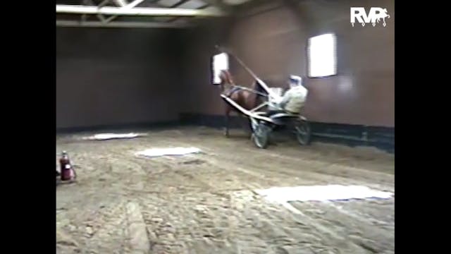 Peter Palmer working horses at Meadow...