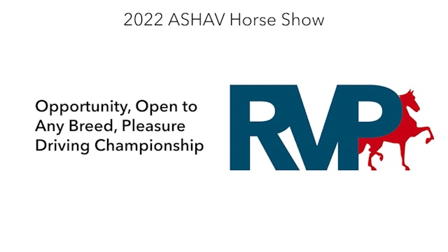 ASHAV22 - Class 90 - Opportunity, Open to Any Breed, Pleasure Driving Championship