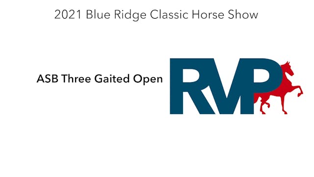 BR21 - Class 35 - ASB Three Gaited Open