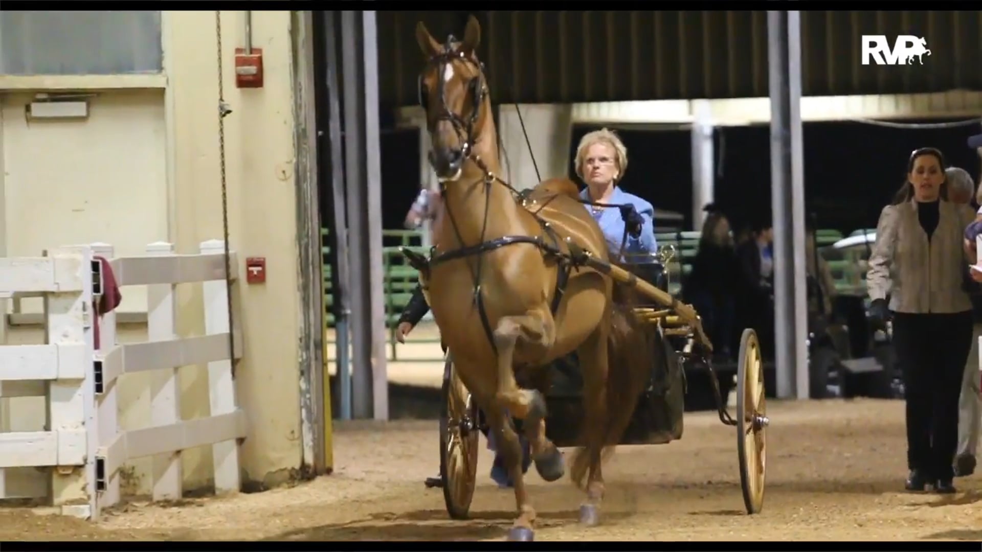 ALCB16 - Thursday Night Highlights 