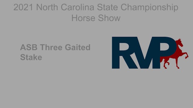 NCSC21 - Class 132 - ASB Three Gaited...