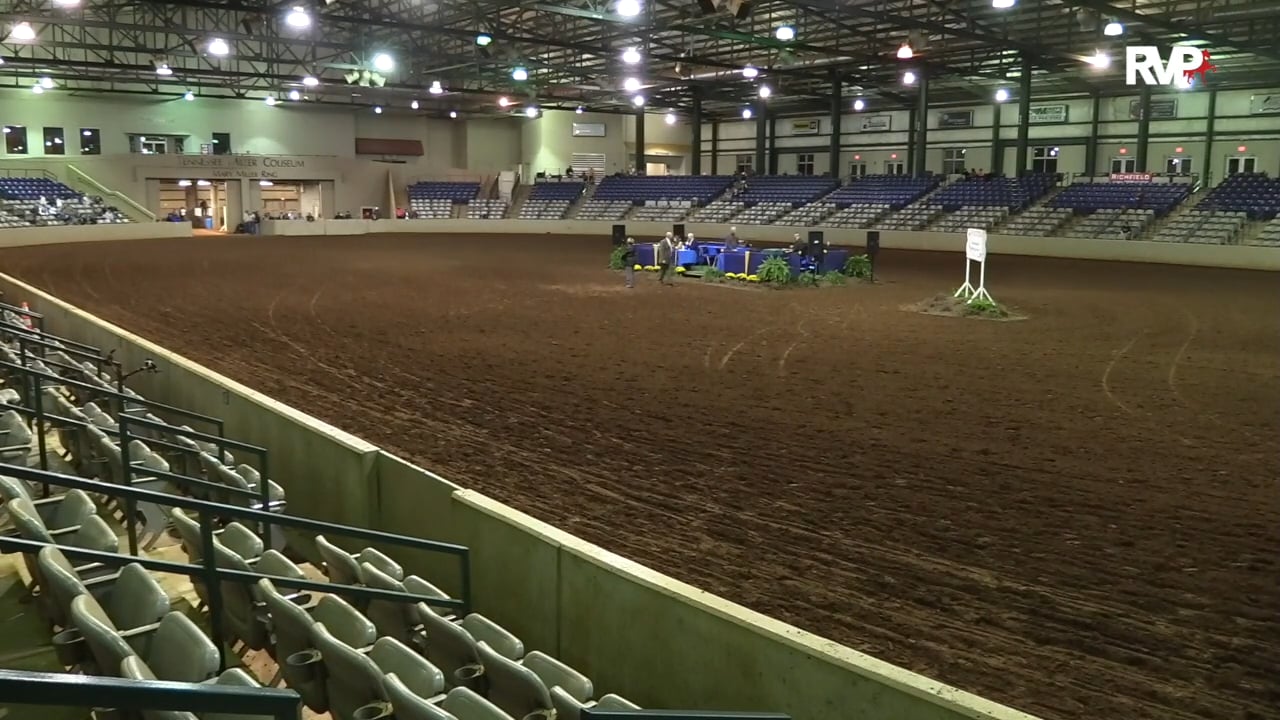 SSFF18 - Class 18 - Twin Willow's McDreamy