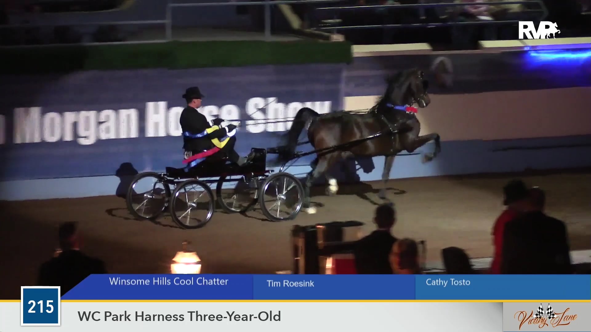 MGN19 - Winsome Hills Coolchatter - Class 215