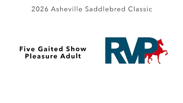 ASC26 - Class 76 - Five Gaited Show P...