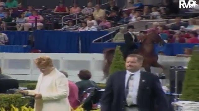 2003 WCHS Class 34 Equitation Open Ri...