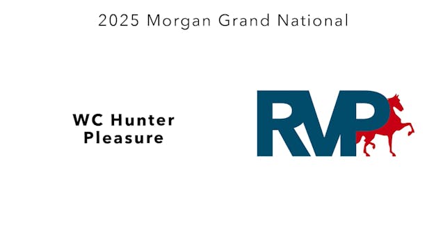 MGN25 - Class 150 - WC Hunter Pleasure