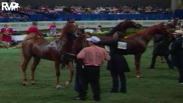 2004 World's Championship Horse Show ...