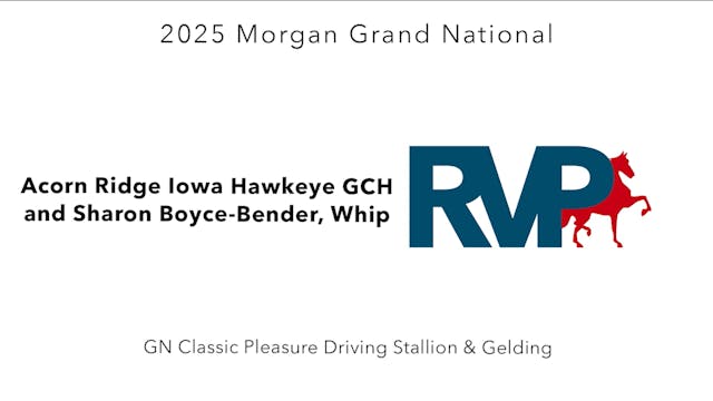 MGN25 - Class 395 - Acorn Ridge Iowa ...