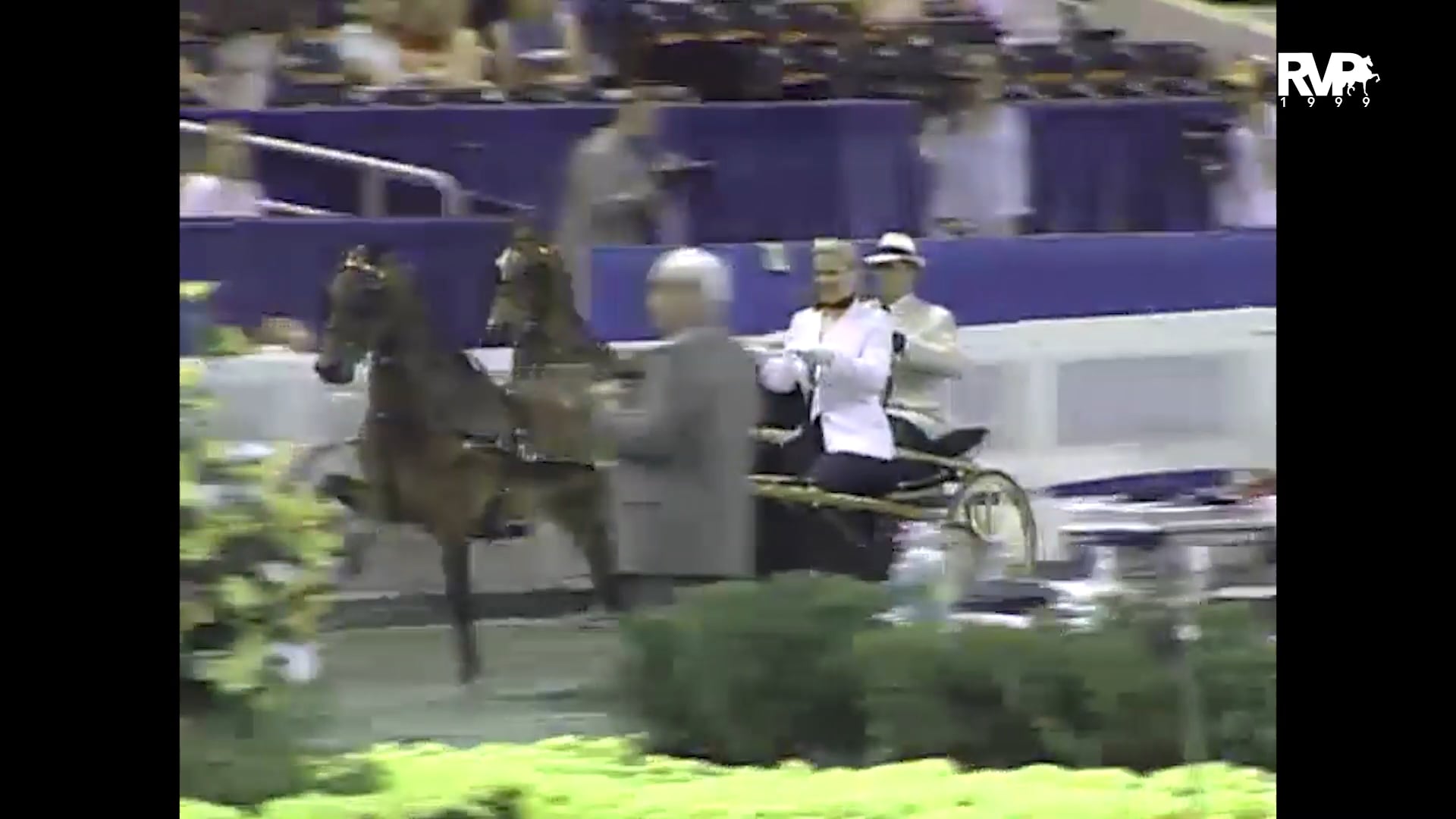 1999 WCHS - Class 180 Hackney-Harness Pony Pleasure Driving Adult Championship