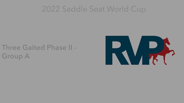 2022 Saddle Seat World Cup - Three Ga...