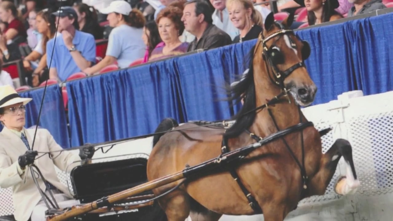 2016 UPHA Tom Moore Hall Of Fame Mike Barlow